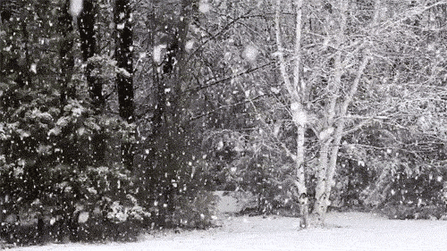http://content.foto.mail.ru/mail/arvolar/_blogs/i-4024.gif